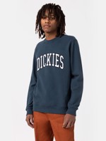 Dickies - Sweatshirts - Aitking, navy/hvid