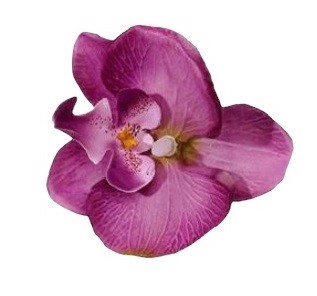 Stor Orkide Hårclips, mørk Lilla med Krokodillespænde🌸