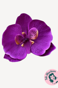 Stor Orkide, lilla med orange touch - Hårclips med Krokodillespænde 