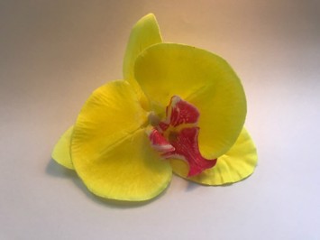 Stor orkide hårclips, gul