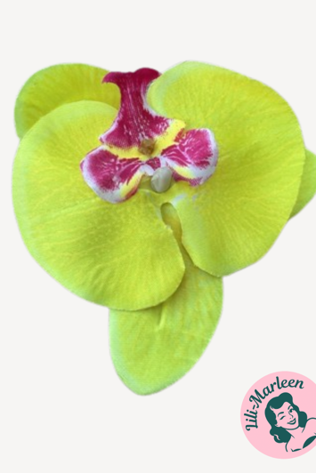 Gigant Orkide Hårclips med Krokodillespænde, gul