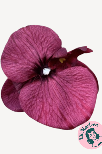 Gigant Orkide Hårclips med Krokodillespænde, vinrød