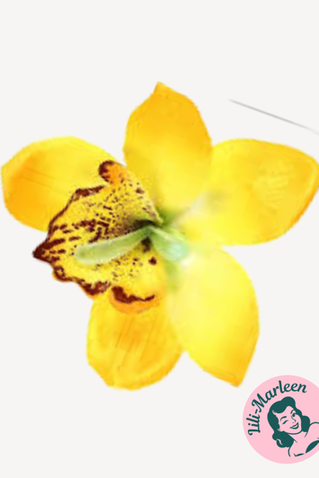 Gigant orkide hårclips, gul