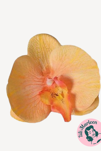 Gigant Orkide Hårclips, sunset med Krokodillespænde