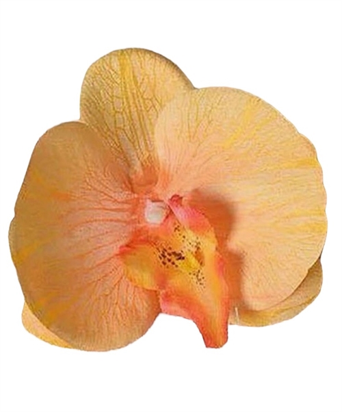 Stor sunset Orkide Hårclips med Krokodillespænde🌸