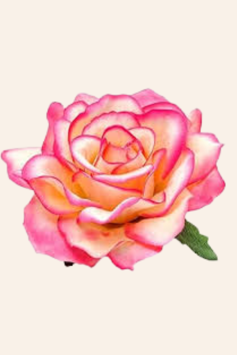 Hårklips/hårkamme med roser, blomster, sommerfugle & fjer