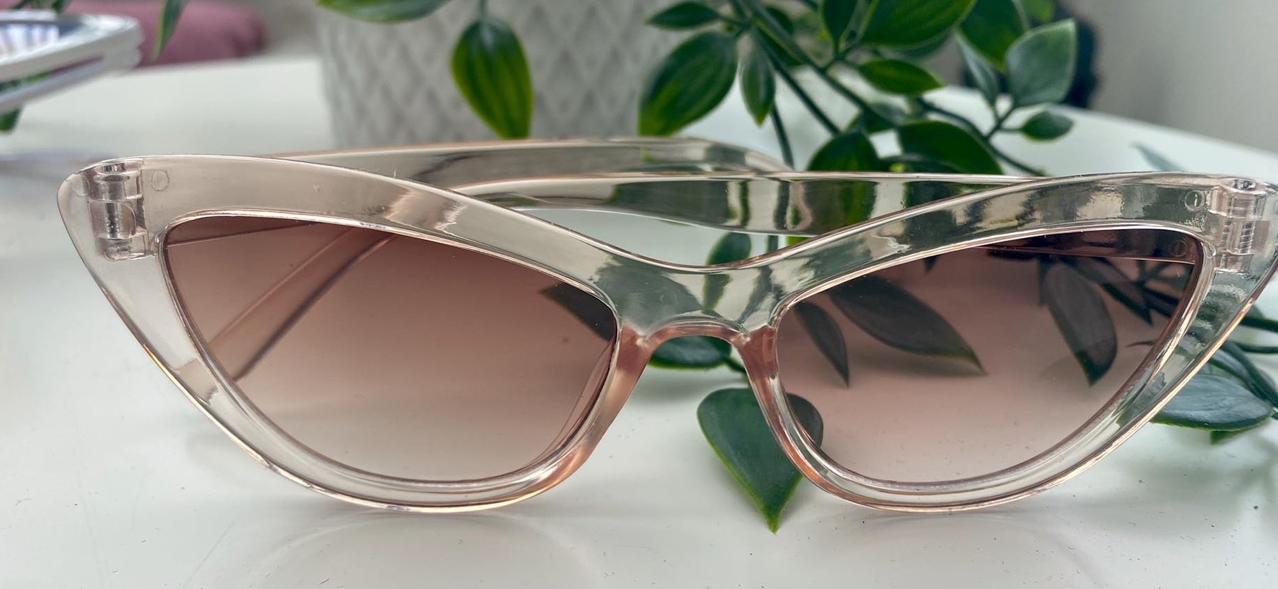 bryst Distrahere Tips Cateye solbriller i gennemsigtige beige stel med brune glas