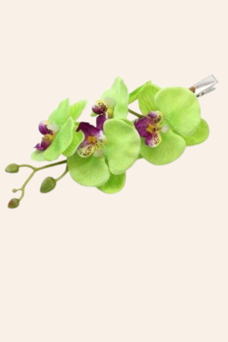 Hawaii & tropiske hårblomster 