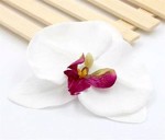 Stor orkide hårclips, hvid med lilla midte 