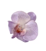 Stor Lilla Orkide Hårclips med Krokodillespænde🌸