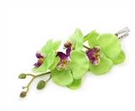 hårclips, grøn orkideflor